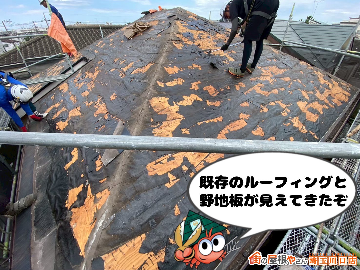 既存のルーフィングと野地板が見えてきたぞ！